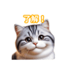 とにかくかわいいアメリカンワイヤーヘアー（個別スタンプ：10）