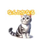 とにかくかわいいアメリカンワイヤーヘアー（個別スタンプ：16）