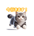 とにかくかわいいアメリカンワイヤーヘアー（個別スタンプ：17）