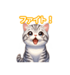 とにかくかわいいアメリカンワイヤーヘアー（個別スタンプ：23）
