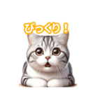 とにかくかわいいアメリカンワイヤーヘアー（個別スタンプ：27）