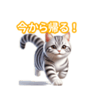 とにかくかわいいアメリカンワイヤーヘアー（個別スタンプ：36）