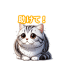 とにかくかわいいアメリカンワイヤーヘアー（個別スタンプ：37）