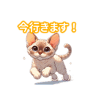 とにかくかわいい デボン・レックス（個別スタンプ：17）
