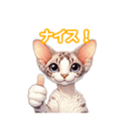 とにかくかわいい デボン・レックス（個別スタンプ：20）