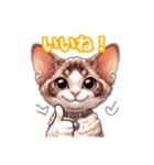 とにかくかわいい デボン・レックス（個別スタンプ：25）