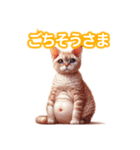 とにかくかわいい デボン・レックス（個別スタンプ：35）