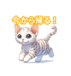 とにかくかわいい デボン・レックス（個別スタンプ：36）
