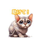 とにかくかわいい デボン・レックス（個別スタンプ：37）