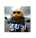 うさぎライダー たれ耳バージョン（個別スタンプ：6）