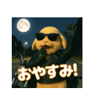 うさぎライダー たれ耳バージョン（個別スタンプ：13）