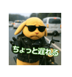 うさぎライダー たれ耳バージョン（個別スタンプ：25）