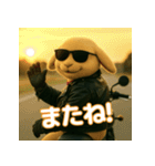 うさぎライダー たれ耳バージョン（個別スタンプ：32）