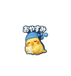 オカメインコの毎日ことばスタンプ（個別スタンプ：5）