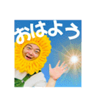 ひまわりおじさんとキヌアちゃんvol.2（個別スタンプ：1）