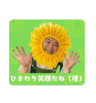 ひまわりおじさんとキヌアちゃんvol.2（個別スタンプ：3）