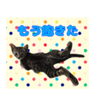 保護猫つくねのスタンプ（個別スタンプ：17）