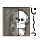 B＆W シーズー犬 「ネガティブ・いじけ虫」（個別スタンプ：1）