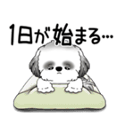 B＆W シーズー犬 「ネガティブ・いじけ虫」（個別スタンプ：2）