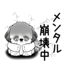 B＆W シーズー犬 「ネガティブ・いじけ虫」（個別スタンプ：13）