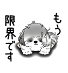 B＆W シーズー犬 「ネガティブ・いじけ虫」（個別スタンプ：17）