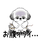 B＆W シーズー犬 「ネガティブ・いじけ虫」（個別スタンプ：19）