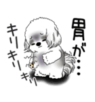 B＆W シーズー犬 「ネガティブ・いじけ虫」（個別スタンプ：20）