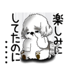 B＆W シーズー犬 「ネガティブ・いじけ虫」（個別スタンプ：21）