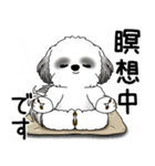 B＆W シーズー犬 「ネガティブ・いじけ虫」（個別スタンプ：36）