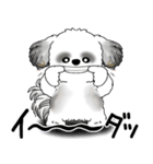 B＆W シーズー犬 「ネガティブ・いじけ虫」（個別スタンプ：39）