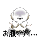 犬さん 2025 「ネガティブ・いじけ虫」（個別スタンプ：19）