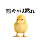 【煽る・罵倒】可愛いヒヨコと鶏＠日常会話（個別スタンプ：9）