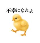 【煽る・罵倒】可愛いヒヨコと鶏＠日常会話（個別スタンプ：15）