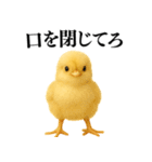 【煽る・罵倒】可愛いヒヨコと鶏＠日常会話（個別スタンプ：22）