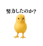 【煽る・罵倒】可愛いヒヨコと鶏＠日常会話（個別スタンプ：25）
