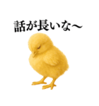 【煽る・罵倒】可愛いヒヨコと鶏＠日常会話（個別スタンプ：26）