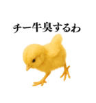 【煽る・罵倒】可愛いヒヨコと鶏＠日常会話（個別スタンプ：30）