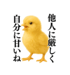 【煽る・罵倒】可愛いヒヨコと鶏＠日常会話（個別スタンプ：31）