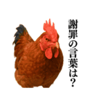 【煽る・罵倒】可愛いヒヨコと鶏＠日常会話（個別スタンプ：39）