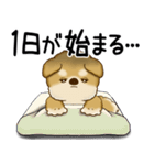 柴犬さん 2025 「ネガティブ・いじけ虫」（個別スタンプ：2）