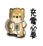 柴犬さん 2025 「ネガティブ・いじけ虫」（個別スタンプ：6）