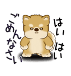 柴犬さん 2025 「ネガティブ・いじけ虫」（個別スタンプ：7）