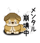 柴犬さん 2025 「ネガティブ・いじけ虫」（個別スタンプ：13）