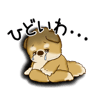 柴犬さん 2025 「ネガティブ・いじけ虫」（個別スタンプ：15）