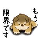 柴犬さん 2025 「ネガティブ・いじけ虫」（個別スタンプ：17）