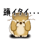 柴犬さん 2025 「ネガティブ・いじけ虫」（個別スタンプ：18）