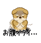 柴犬さん 2025 「ネガティブ・いじけ虫」（個別スタンプ：19）