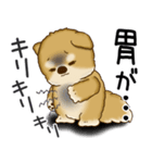 柴犬さん 2025 「ネガティブ・いじけ虫」（個別スタンプ：20）