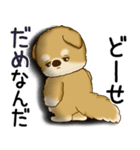 柴犬さん 2025 「ネガティブ・いじけ虫」（個別スタンプ：23）