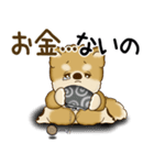 柴犬さん 2025 「ネガティブ・いじけ虫」（個別スタンプ：31）